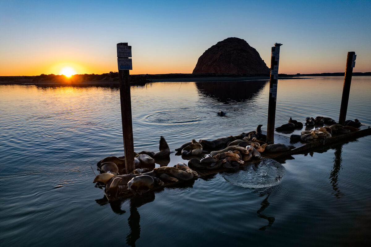 Magical Morro Bay