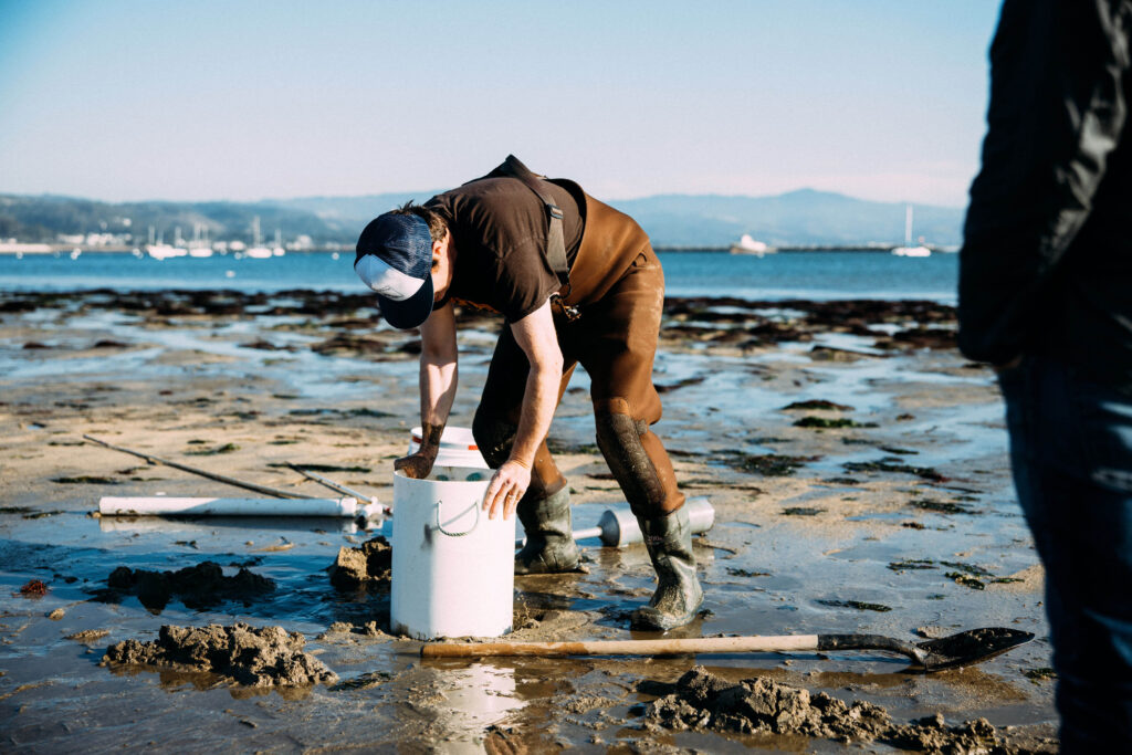 The Sea Forager's Guide To The Northern California Coast': A New