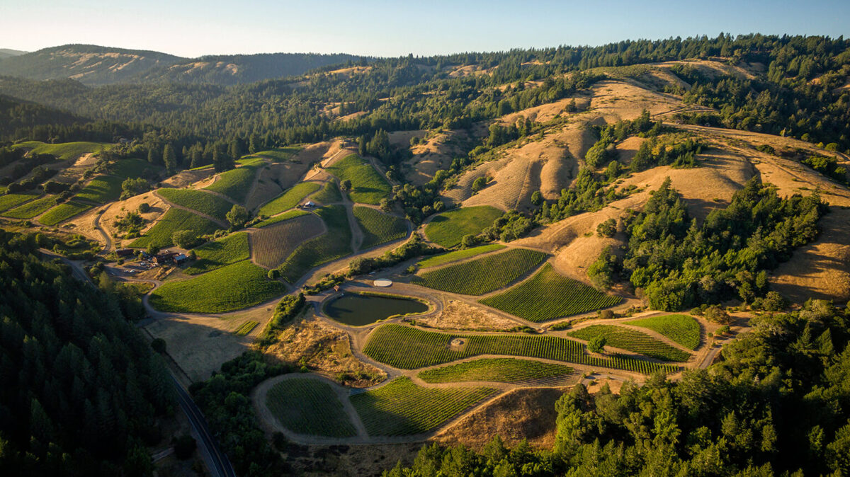 Well-Placed Pinots