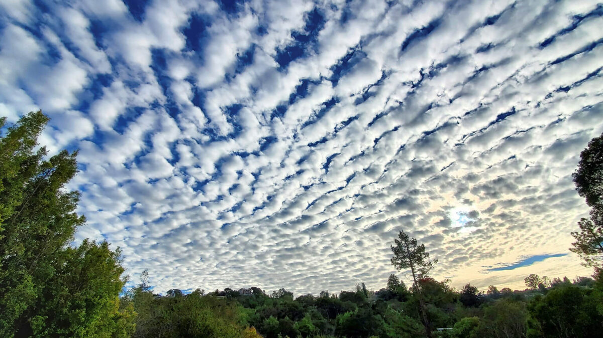 Perfect Shot: Quilted Skies