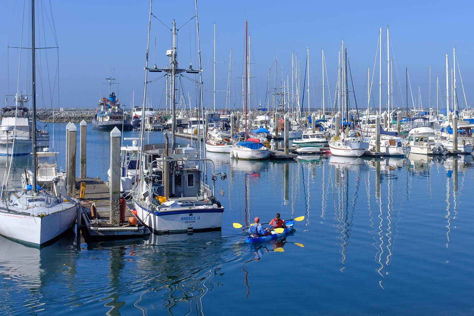 Rediscover Half Moon Bay Punch Magazine