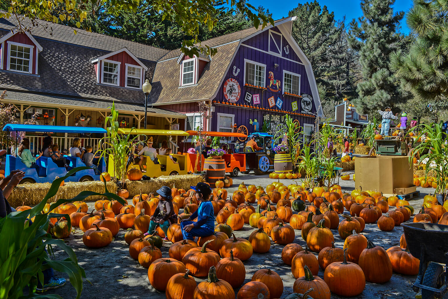 Pumpkin Patch Punch. - Half Baked Harvest