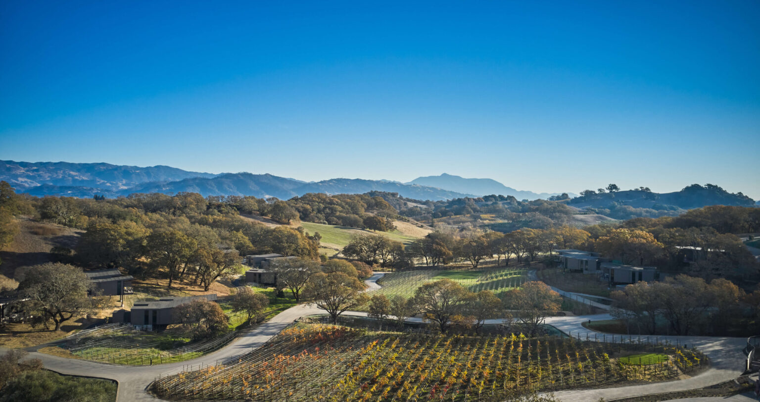 Young Healdsburg winemaker jumps onto pétillant naturel trend