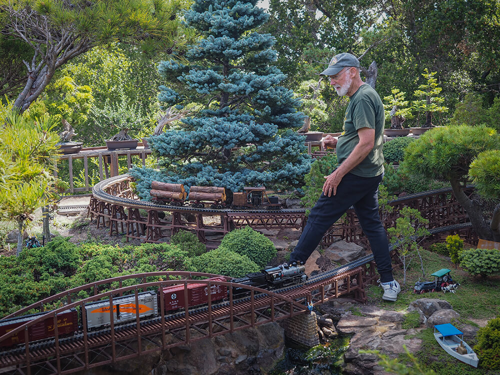 Garden model trains on sale