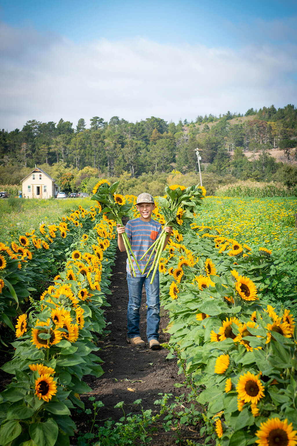 Out in the Fields: Exploring Coastside Farms