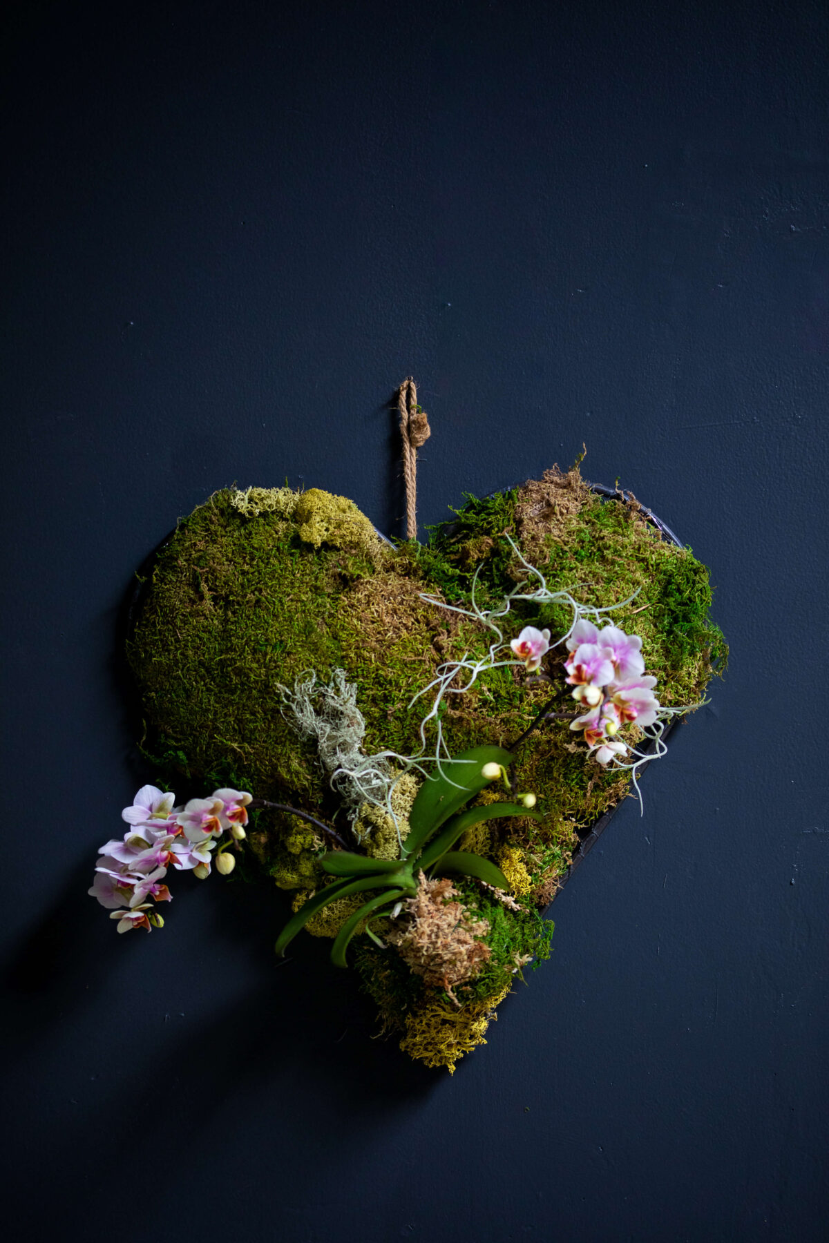 Moss heart hangs on the wall