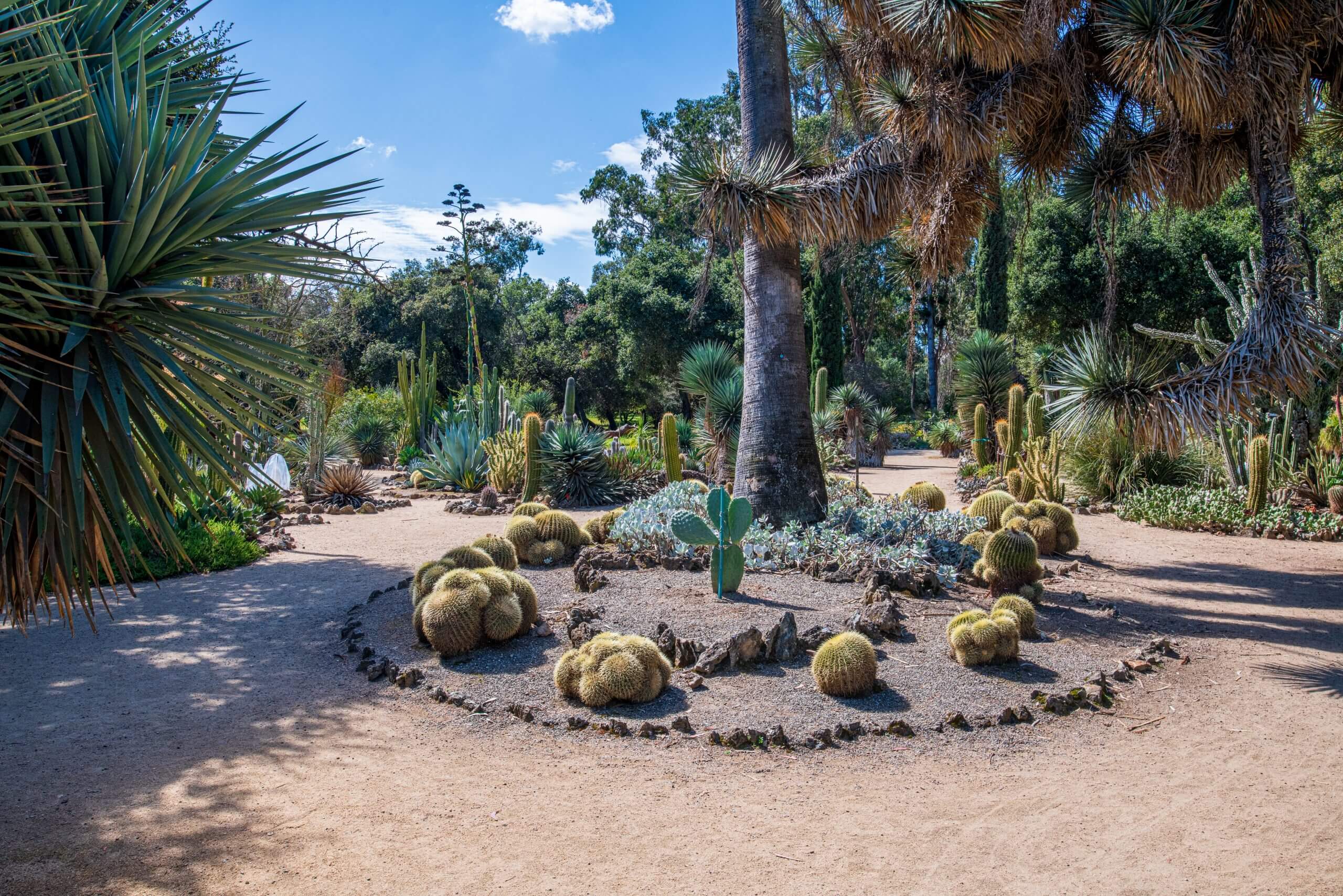 Stanford's Arizona Garden - Punch Magazine