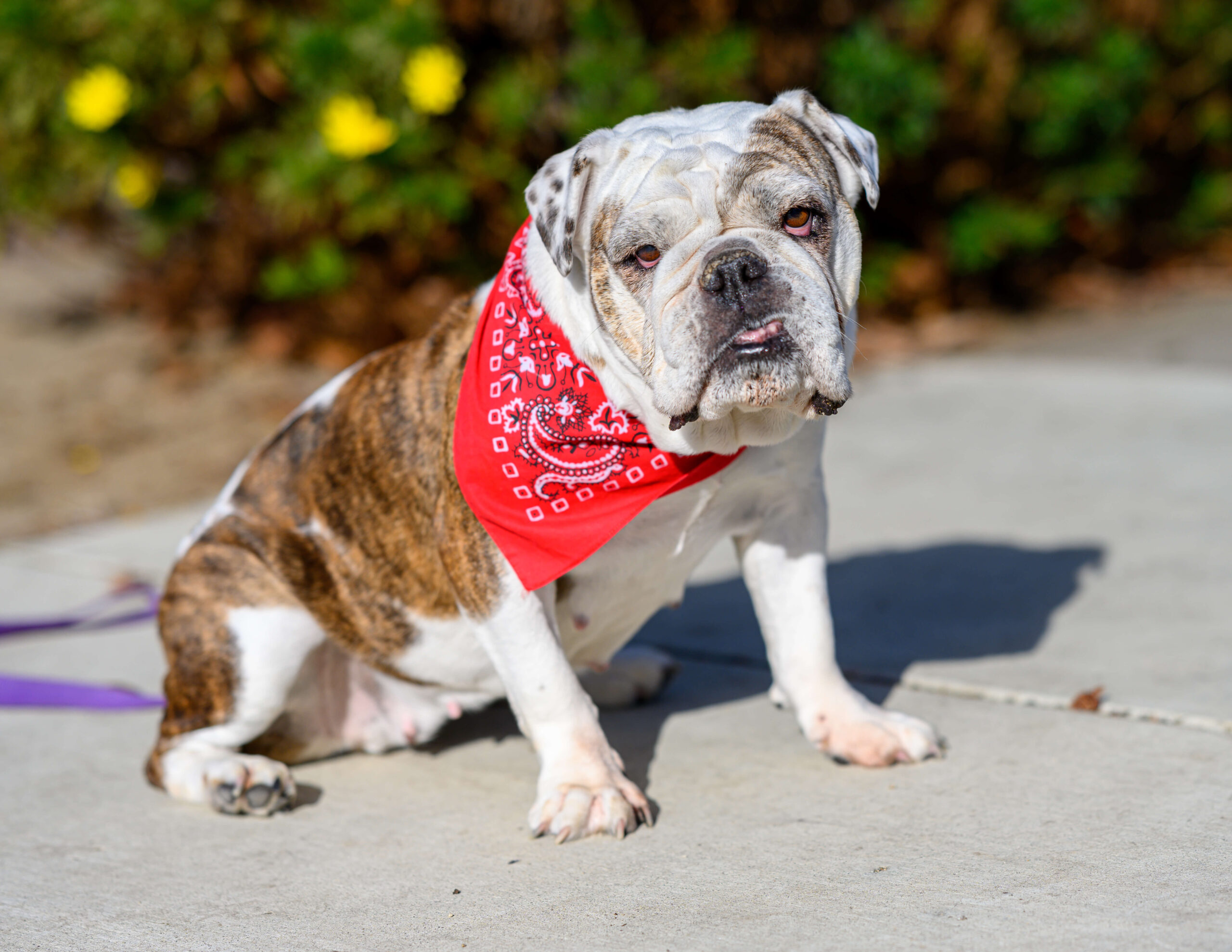 Stella-Punch-01-26-2021-1348-