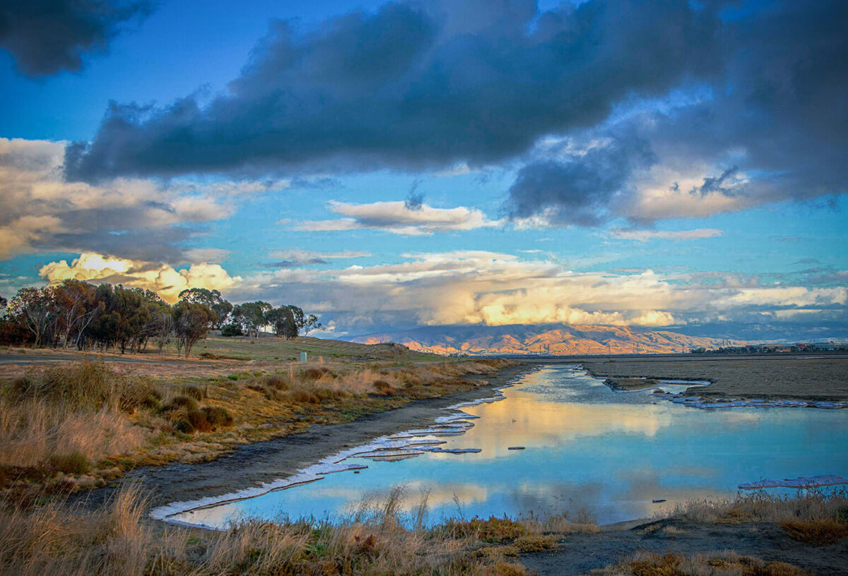 Perfect Shot: Blue Hour at the Baylands