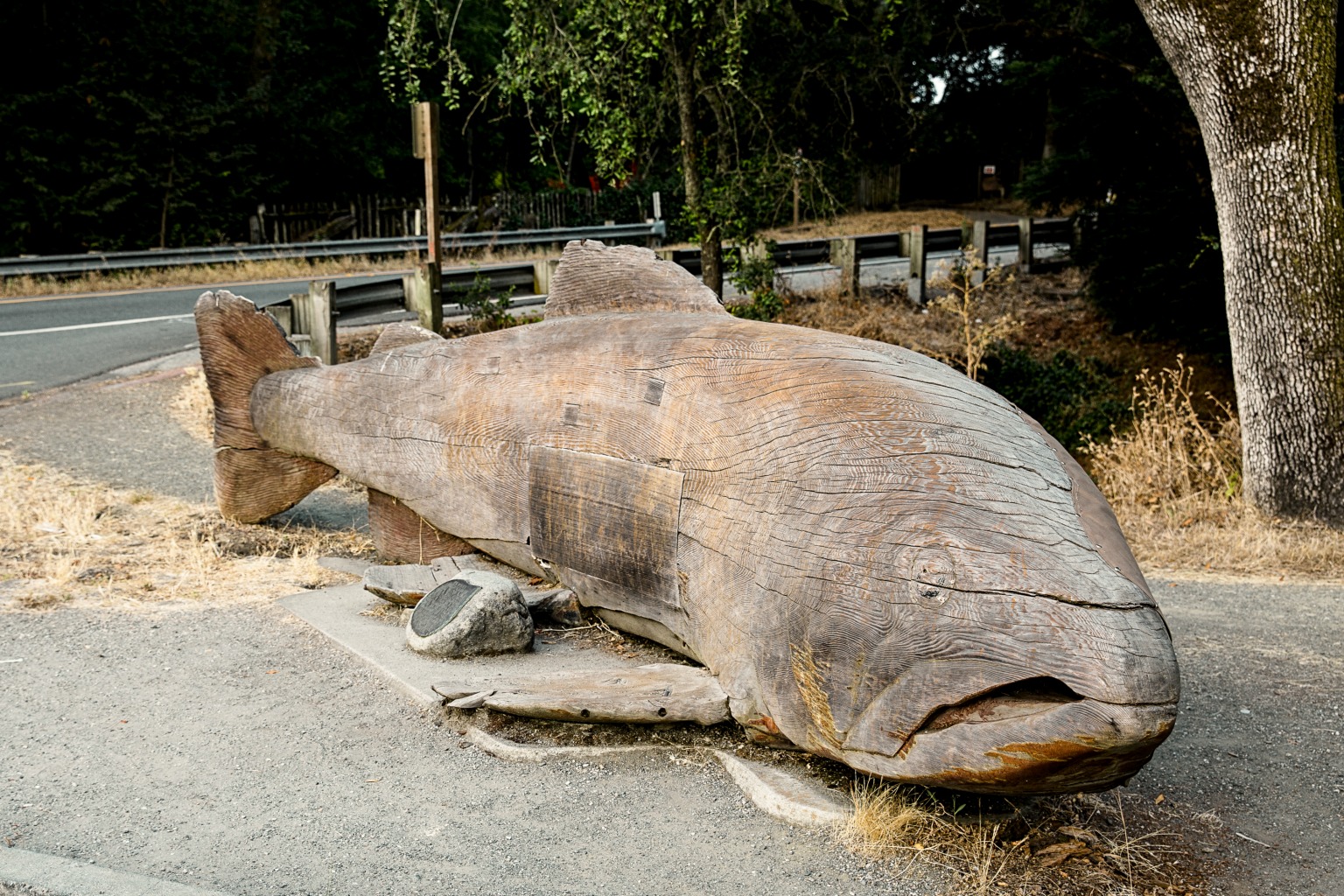Landmark: Woody the Fish - Punch Magazine
