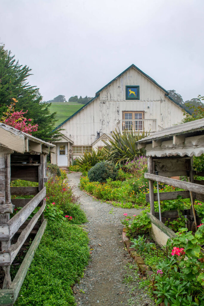 Pescadero Goat Farm