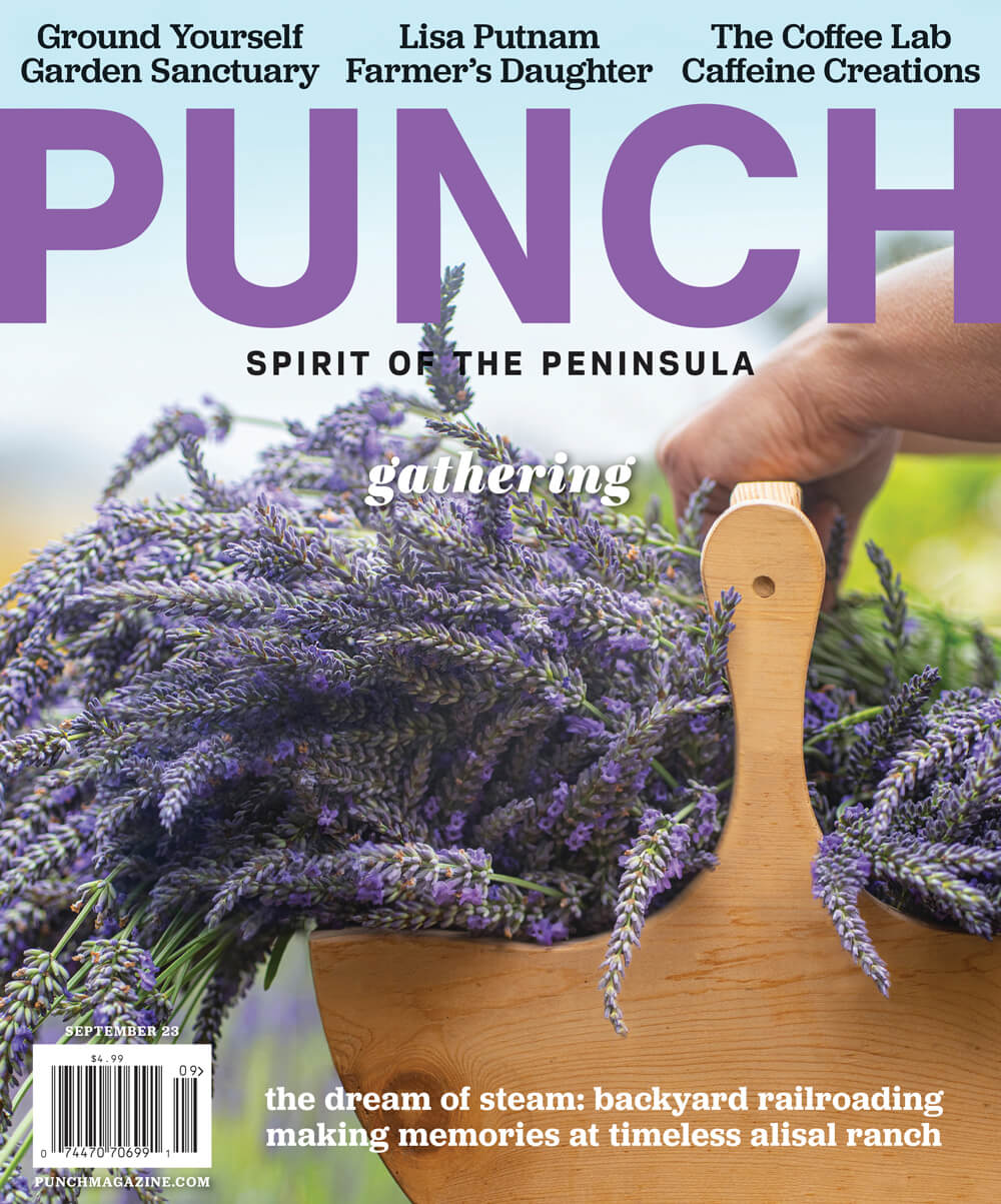 Punch Magazine September 2023 Issue